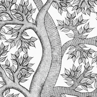 The Flourishing Tree – Gond Paper Painting
